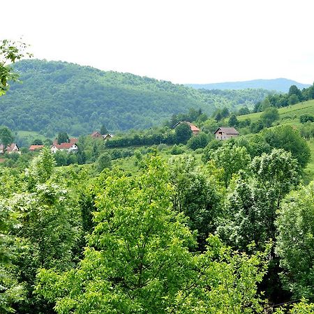 Apartments Zugec Seliste Dreznicko Εξωτερικό φωτογραφία